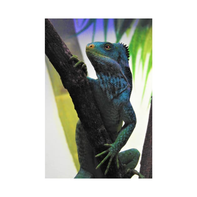 Fijian Crested Iguana by kirstybush