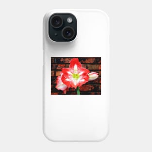 Amaryllis Allure Phone Case