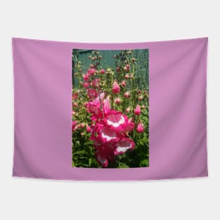 Pink Penstemon Flower Tapestry