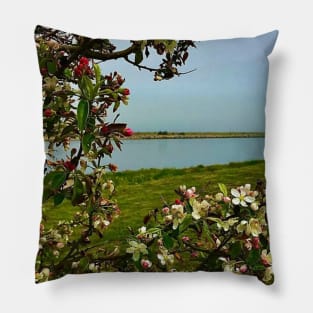 Springtime at the Cape Cod Canal Pillow