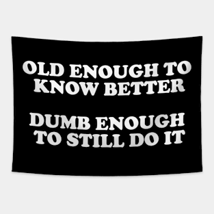 Old Enough To Know Better Dumb Enough To Still Do It Tapestry