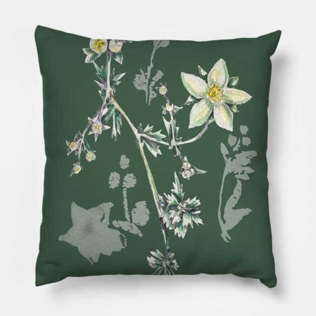 Wild herbs Pillow by feafox92