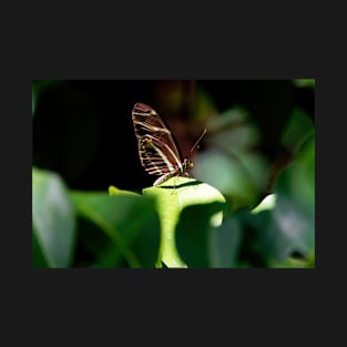 Zebra Longwing Butterfly with Nectar T-Shirt