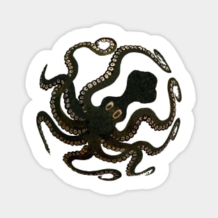 Octopus Magnet