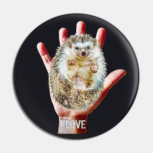 Hedgehog hand sweet trend Pin