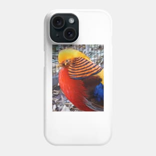 Golden Pheasant Phone Case