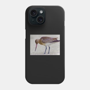 SOME BIRDS HAVE SEXY LEGS Phone Case