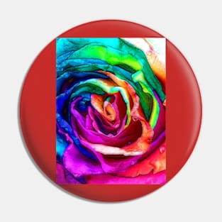 Rainbow Rose Close Up Pin