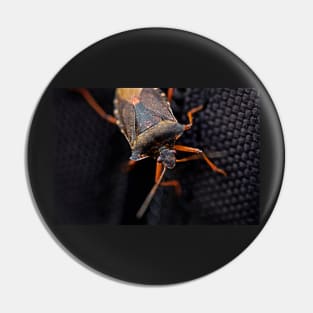 THE HITCHHIKER FOREST SHIELDBUG Pin