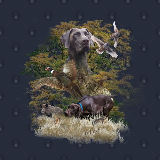 German Shorthaired Pointer hunting by German Wirehaired Pointer 