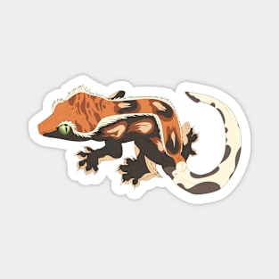 Tri Color Harlequin Crested Gecko Magnet