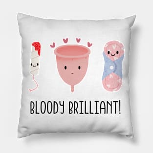 Cute Menstrual Products Pillow