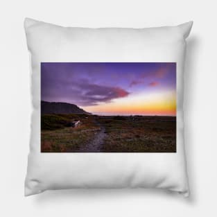 Dry Lagoon Sunset Pillow