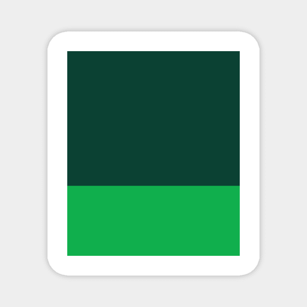 Ireland Rugby Green and White Tricolour Magnet by Culture-Factory