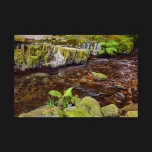 Temperate Rainforest Stream, British Columbia T-Shirt