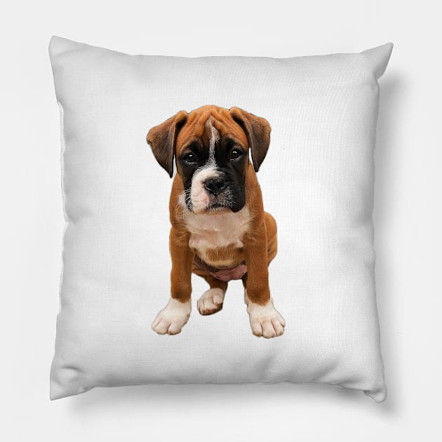 Boxer Cute Puppy Dog Pillow by ElegantCat