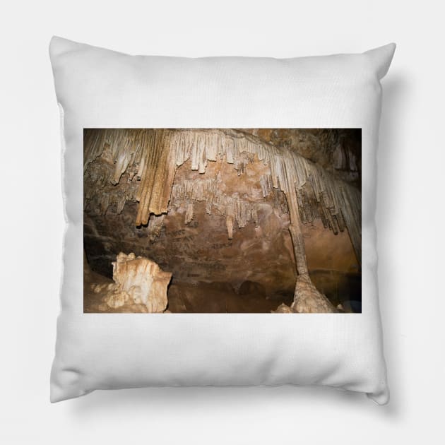 eli caving Pillow by pcfyi