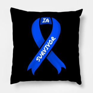 Internal awareness Pillow