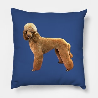 Poodle Apricot Beauty Pillow