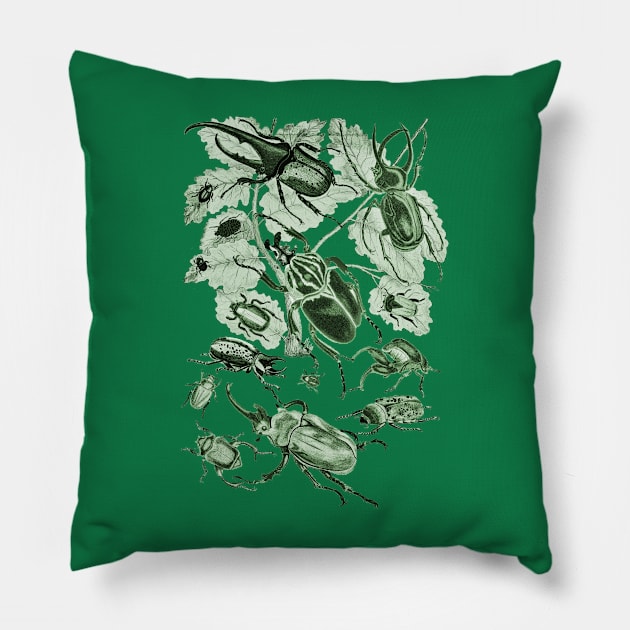 Coleoptera Beetles and Weevils J Mayson Brunswick Green Pillow by Scientistudio