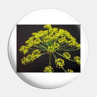 Be the Chief Chef of Your Life with Flowering Dill! Pin