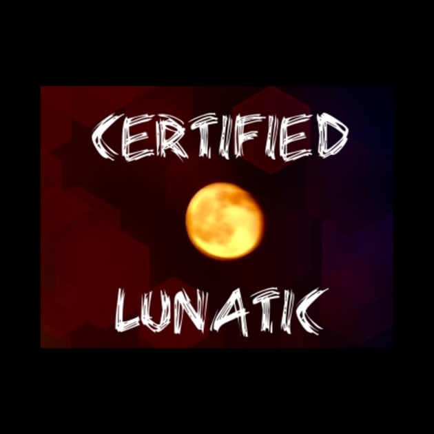 Certified Lunatic by heyokamuse