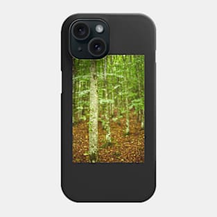 Hornbeam forest on summer Phone Case