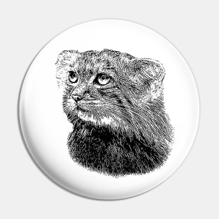 Manul-Pallas's cat Pin