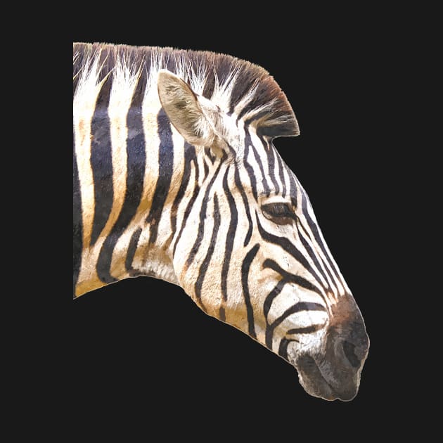 Zebra Profile by Alemi