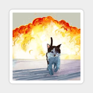 Cool Cats don't look at explosions Magnet