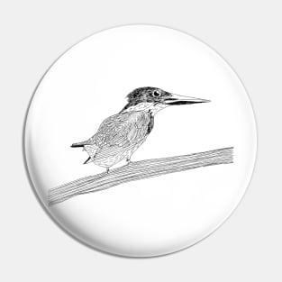 Amazon Kingfisher Pin
