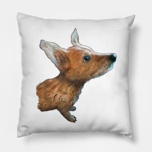 Loba Pillow