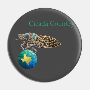 Cicada Country Pin