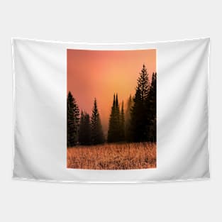 Foggy sunset in redwood forest Tapestry