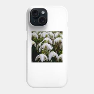 Not long till spring Phone Case