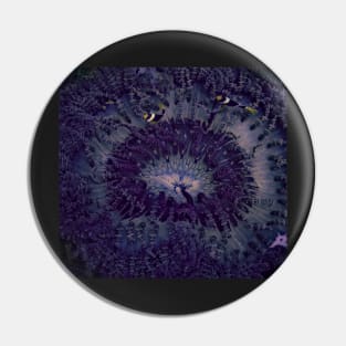 CLOWNING AROUND IN A PURPLE ANEMONE Pin