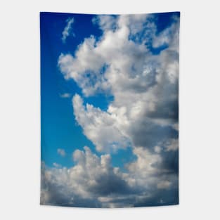 Cloudy day in Heaven Tapestry