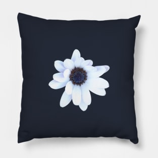 Sleepy African Daisy Flower Pillow