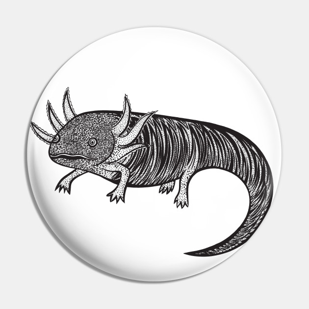 Inky Axolotl