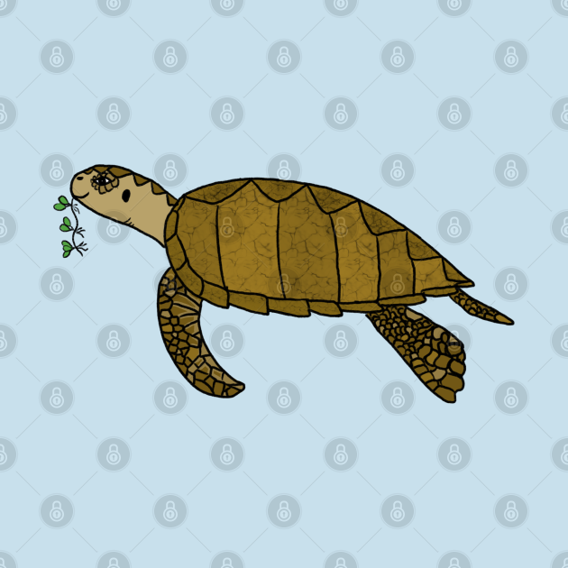 Discover Cute Sea Turtle - Turtle - Pin