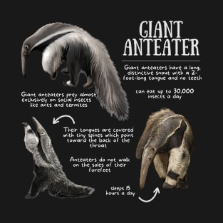 Animal Facts - Giant Anteater T-Shirt
