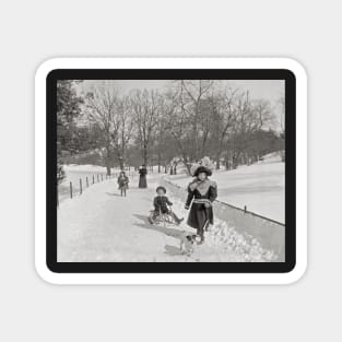 Winter in Central Park, 1900. Vintage Photo Magnet