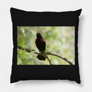 Black Beauty Pillow