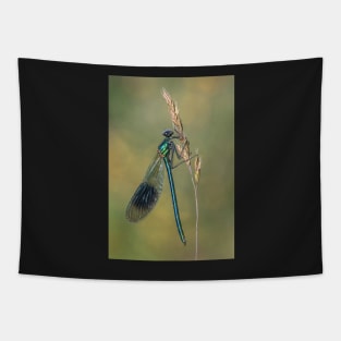 Banded Demoiselle on a Grass Stalk Tapestry