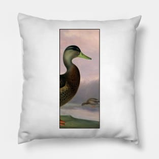 Anas platyrhynchos by Ferdinand von Wright Pillow