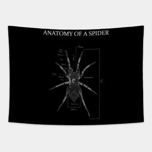 Spider Anatomy Diagram Tapestry