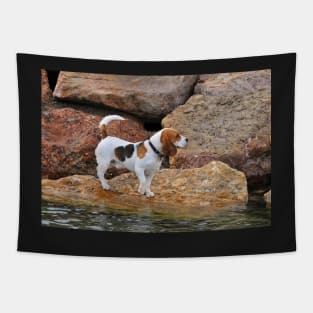 Cute Beagle Tapestry