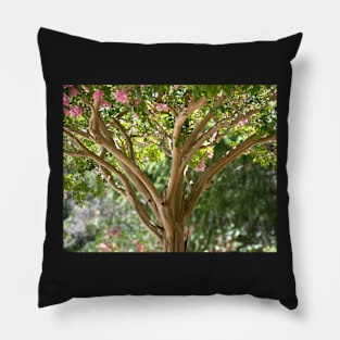 Pink Crape Myrtle Pillow