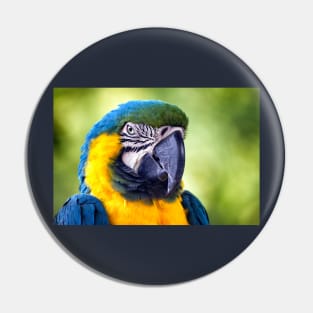 Macaw Parrot Pin