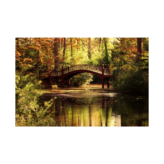 Crim Dell Bridge 2, College of William & Mary by tgass